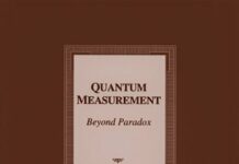 Quantum Measurement: Beyond Paradox (Volume 17) (Minnesota Studies in the Philosophy of Science) by Richard A. Healey (PDF)