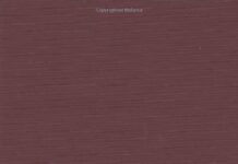 Lebesgue’s Theory of Integration: Its Origins and Development (AMS Chelsea Publishing Series) 2nd Edition by Thomas Hawkins (PDF)