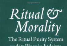 Ritual and Morality: The Ritual Purity System and its Place in Judaism by Hyam Maccoby (PDF)