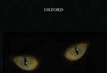 The Quantum Divide: Why Schrödinger’s Cat is Either Dead or Alive 1st Edition by Christopher C. Gerry (PDF)