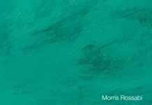 The Mongols: A Very Short Introduction (Very Short Introductions) 1st Edition by Morris Rossabi (PDF)