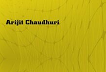 Network and Adaptive Sampling 1st Edition by Arijit Chaudhuri | (PDF) Free Download