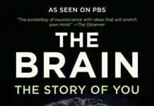 The Brain: The Story of You by David Eagleman (PDF)