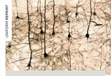 The Idea of the World: A Multi-Disciplinary Argument for the Mental Nature of Reality by Bernardo Kastrup (PDF)