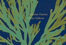 Objectivity (Zone Books) by Lorraine Daston (PDF)